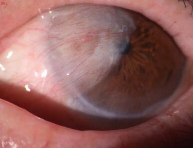 太阳成tyc7111cc党员风采之淮南太阳成tyc7111cc李建东院长:为光明而来,任重而道远3.jpg 太阳成tyc7111cc党员风采之淮南太阳成tyc7111cc李建东院长:为光明而来,任重而道远3.jpg