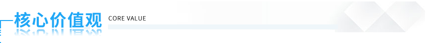 核心价值观 核心价值观